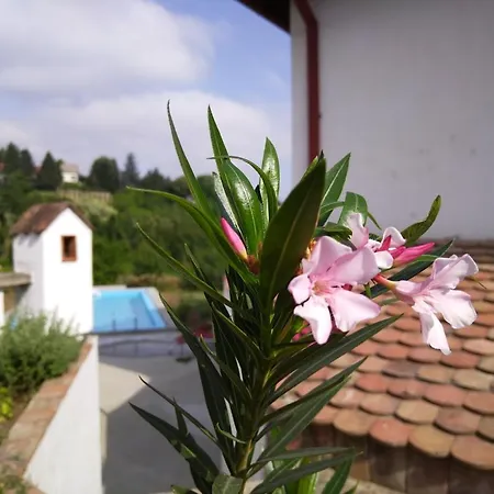 Dunavski Konaci Casa vacanze Brestovik